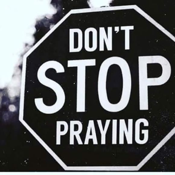 Meet your Posher, Yusef - Picture 1 of 1